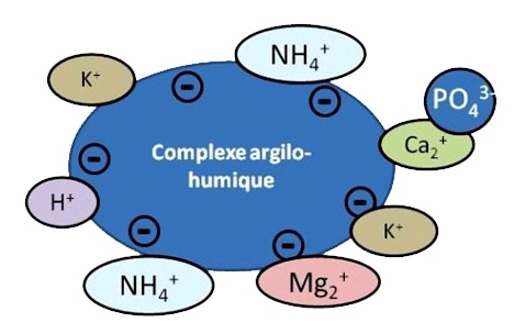 schema